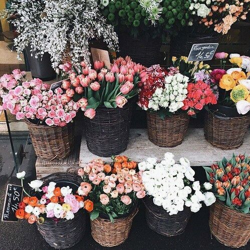 flowers
