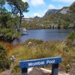 A Rest at Wombat Pool