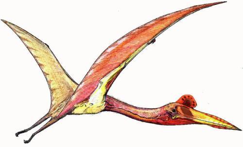 PterosaurQuetzalcoatlus