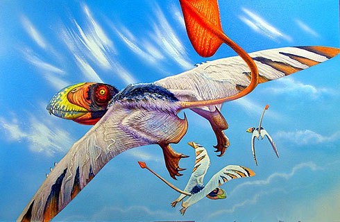 pteroDimorphodon3
