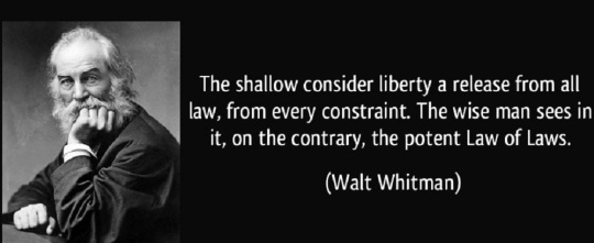 quote-the-shallow-consider-liberty-a-release-from-all-law-from-every-constraint-the-wise-man-sees-in-walt-whitman-197609