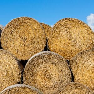 Make Hay While the Sun Shines!