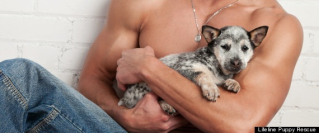  photo bae0b9ffaa6cd020cd1409339d3e23c4_zps05935cf1.jpg