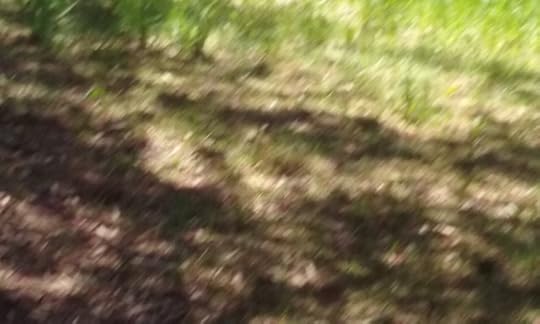 20160504_141111 (640x384)