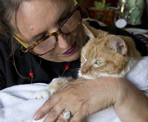 25-year-old-cat-adopted
