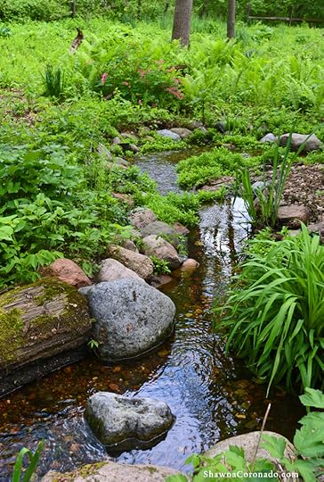 Pond in the Woodland copyright Shawna Coronado