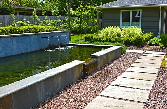 Pond view in suburban Chicago copyright Shawna Coronado