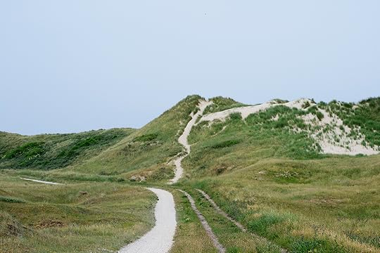 Duinen crop