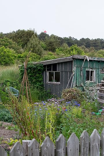 Moestuin Vlieland crop