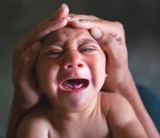 microcephaly_glyphosate_zika3