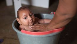 microcephaly_glyphosate_zika2