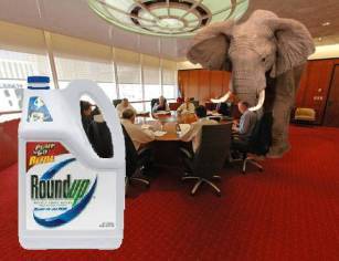 Elephant in the Room isGlyphosate