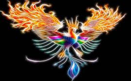 rainbowphoenix