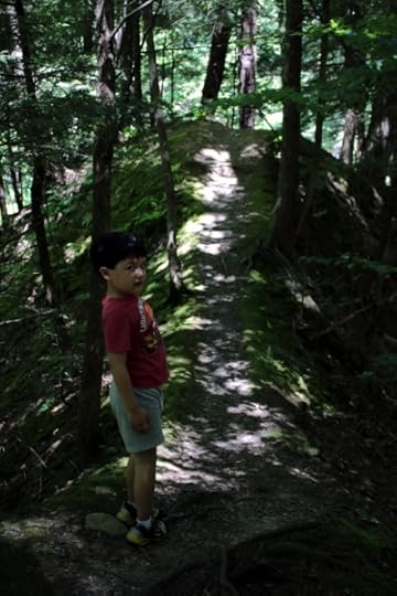 The Pip is somewhat skeptical about walking down this path.