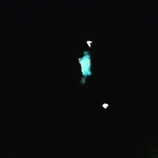 A distant view of Liberty