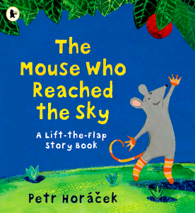 paperback