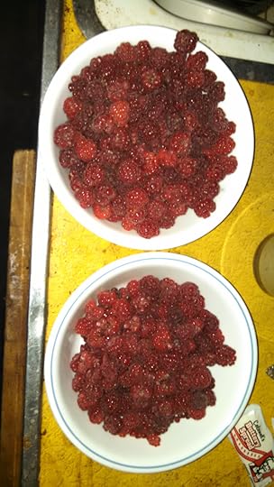 ATT_1466194043765_IMG_20160617_120344_729 (1)