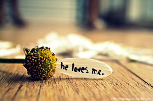  photo 5819355137_b20eff08b1_o_zpsagfd1ilz.jpg