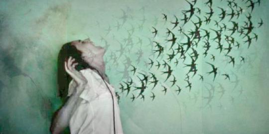 birds of grief