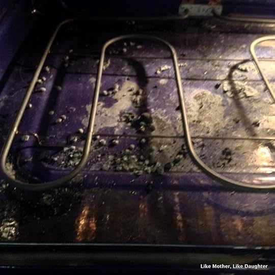 That time I had to vacuum out my oven: {pretty, happy, funny, real} ~ Like Mother, Like Daughter