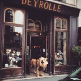 deyrolle