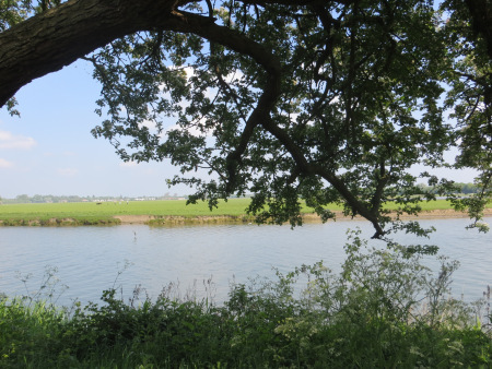 Port Meadow, Oxford