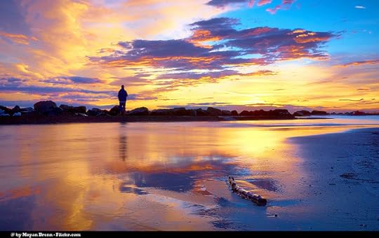 13026914033_d92fcaf0b0_z