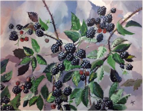 berries and brambles