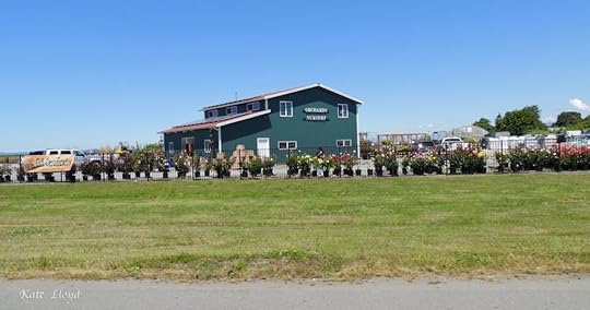 My husband drove right past this nursery without even slowing.
