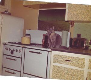 STOVE WITH JENN
