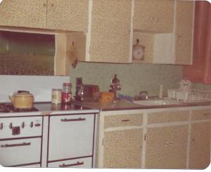 KITCHEN SINK