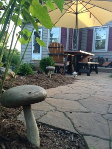 A snail's eye view of our patio dining area.