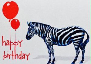 Zebra happy birthday