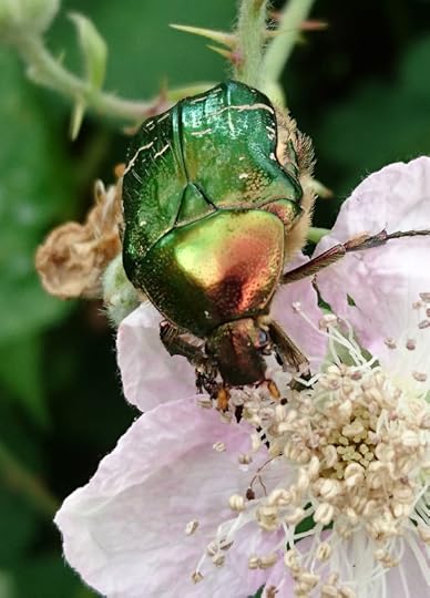 2016-06-17 13.21.12 (2)