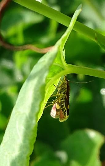 2016-06-17 15.59.58 (2)