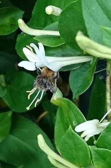 2016-06-17 13.14.59 (2)