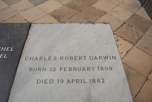 800px-DarwinTomb.JPG