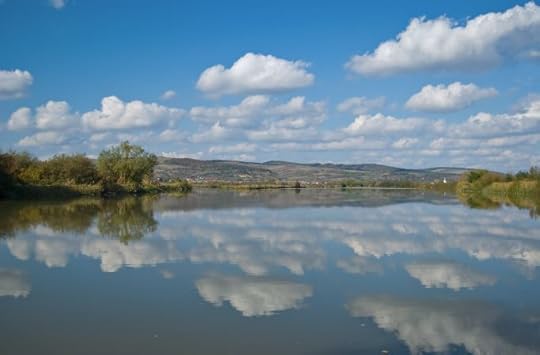 aaa