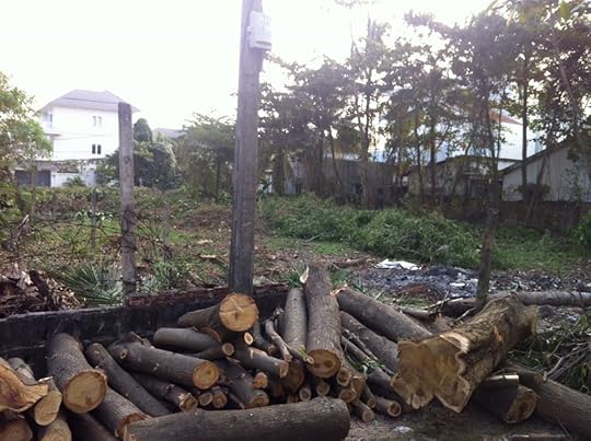 clearcut-sgn