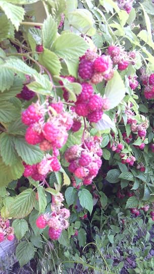 IMG_20160621_172159