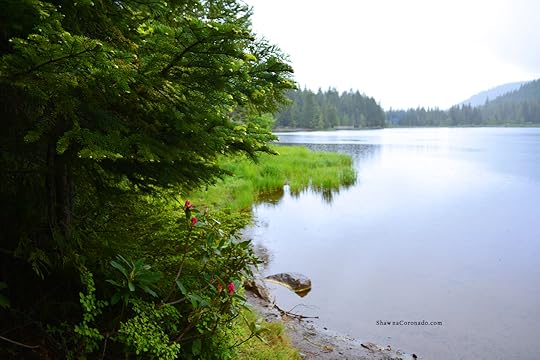 Lake Trillium Mount Hood Territory in Oregon copyright Shawna Coronado