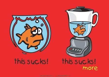 This sucks photo: this sucks thissucksmore.jpg