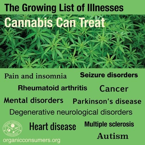 illnesses