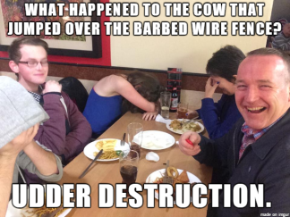dad joke cow udder destruction