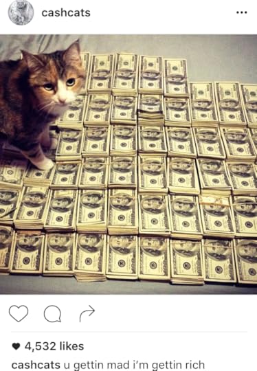 Cashcats Instagram