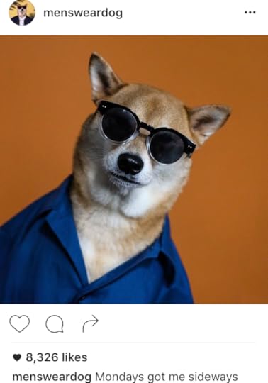 Menswear Dog Instagram