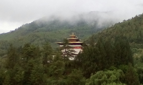 aviary-image-1466552475968