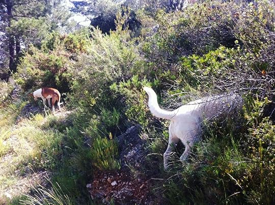 Talk to the bum. The face ain't listening...