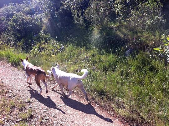 Things to do. Places to go. People to see....