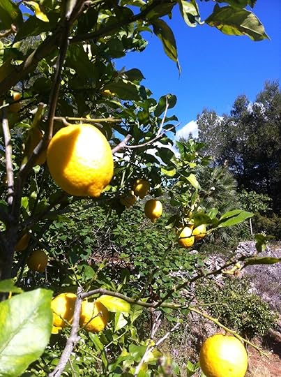 Scrumping for Lemons